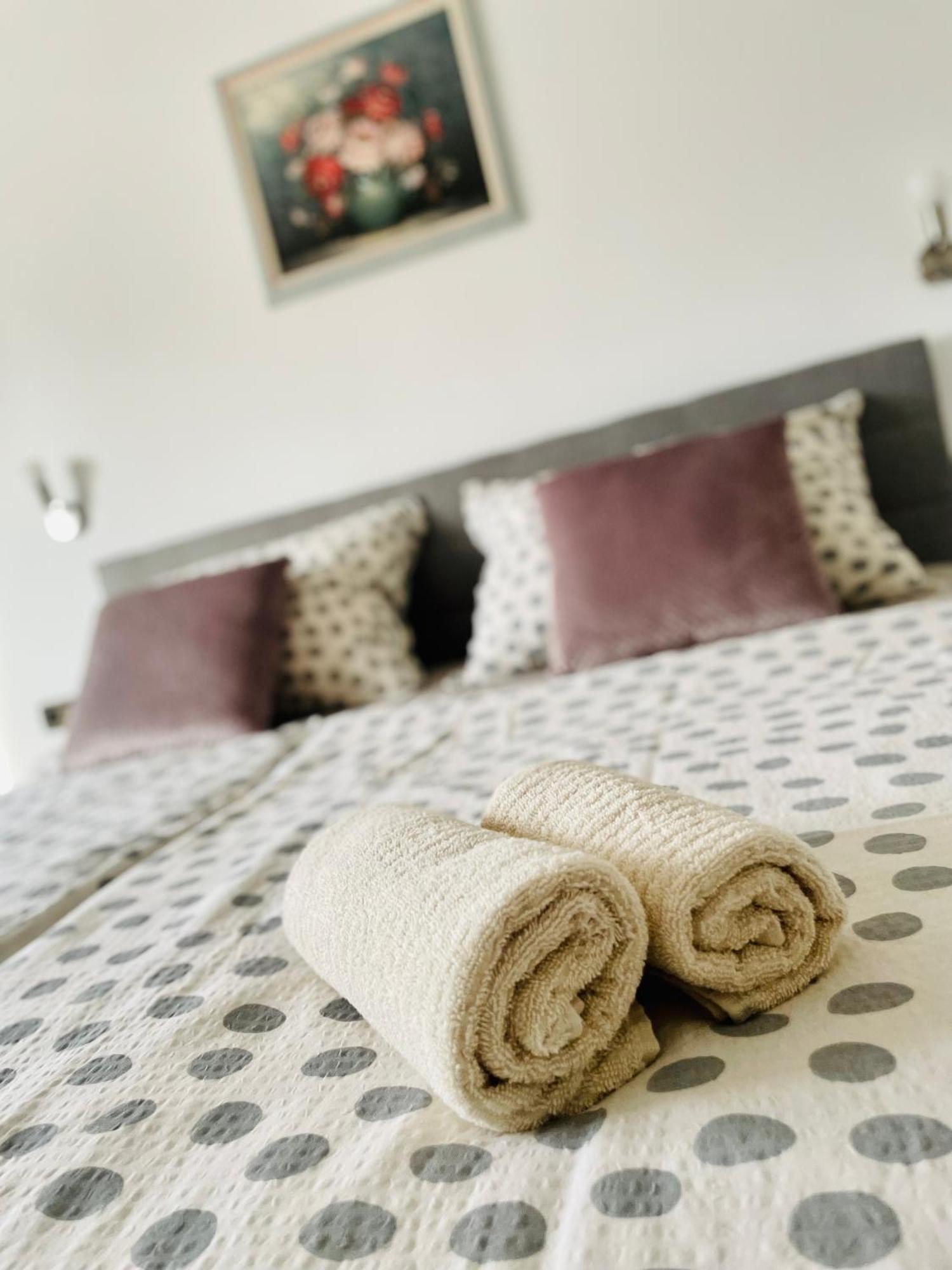 Apartman Bago Deluxe Near Zagreb Airport 大戈里察 外观 照片